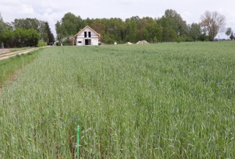 Działka na sprzedaż Damasławek  196867