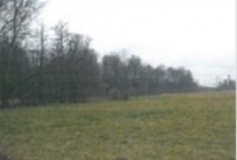 Działka na sprzedaż Słomniki  197107