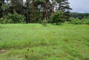 Działka na sprzedaż Czaplinek  197048