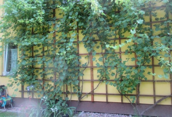 Dom na sprzedaż Prusice  197274