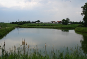 Działka na sprzedaż Naruszewo  197320