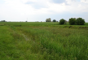 Działka na sprzedaż, Radziejowice mazowieckie - oferta 7777 Działki, Działka na sprzedaż, Radziejowice mazowieckie, o powierzchni 1450m2, pokoje 999, w cenie 150000 zł.