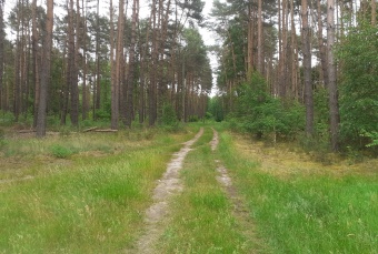 Dom na sprzedaż, Swarzędz wielkopolskie - oferta 7800 Domy, Dom na sprzedaż, Swarzędz wielkopolskie, o powierzchni 119m2, pokoje 4, w cenie 449000 zł.