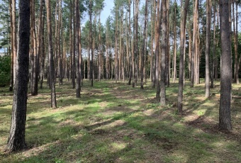 Mieszkanie na sprzedaż, Płońsk mazowieckie - oferta 7976 Mieszkania, Mieszkanie na sprzedaż, Płońsk mazowieckie, o powierzchni 48m2, pokoje 3, w cenie 215000 zł.