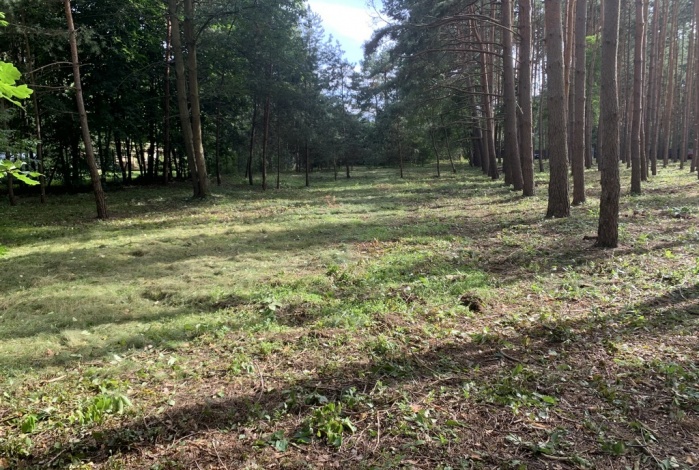 Działka na sprzedaż w Otwock  Krecia o powierzchni 10000 mkw