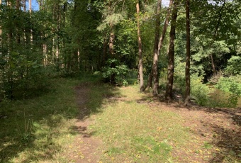 Działka Sprzedam mazowieckie Otwock -3