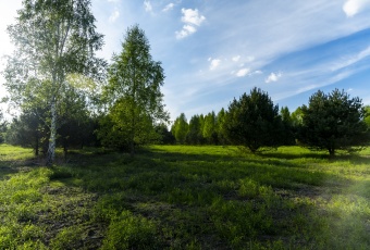 Działka Sprzedam mazowieckie Wiązowna Michałówek-3