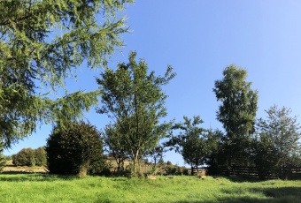 Działka na sprzedaż Milówka  484117