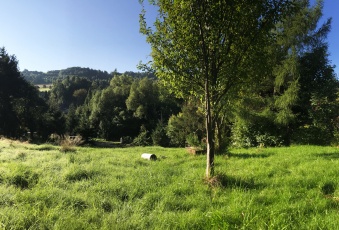 Działka Sprzedam śląskie Milówka Kamesznica-3