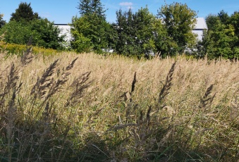 Działka na sprzedaż Karczew  484121