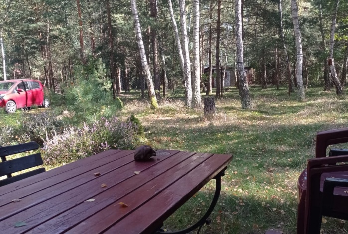 Działka na sprzedaż w Jaktorów Budy-Grzybek Malczewskiego o powierzchni 1122 mkw