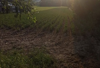 Działka na sprzedaż Iwanowice  484240