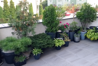 Mieszkanie na wynajem, Warszawa mazowieckie - oferta 8213 Mieszkania, Mieszkanie na wynajem, Warszawa mazowieckie, o powierzchni 35m2, pokoje 2, w cenie 2700 zł.
