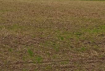 Działka na sprzedaż Jelcz-Laskowice  484291