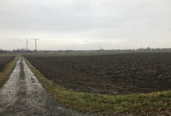 Działka na sprzedaż Kędzierzyn-Koźle  484414