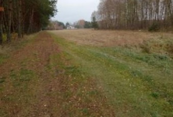 Działka na sprzedaż Obrowo  484537