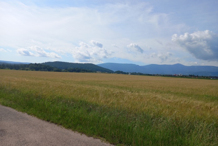 Działka na sprzedaż w Mysłakowice Łomnica Klonowa o powierzchni 1200 mkw