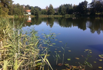 Działka na sprzedaż Krzeszyce  822171