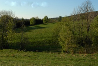 Działka Sprzedam dolnośląskie Stronie Śląskie -3