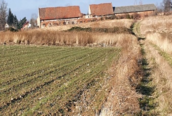 Działka Sprzedam dolnośląskie Sobótka -1