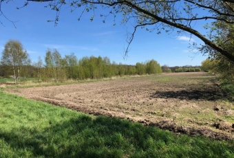 Działka na sprzedaż, Dobroszyce dolnośląskie - oferta 822392 Działka na sprzedaż Dobroszyce 822392