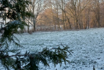 Działka Sprzedam śląskie Wodzisław Śląski Kokoszyce-1