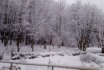 Mieszkanie na sprzedaż Gdynia  822502