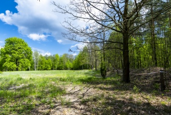 Działka Sprzedam mazowieckie Warszawa Wawer-2