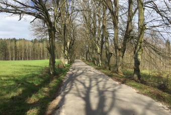 Działka na sprzedaż Olsztynek  822810