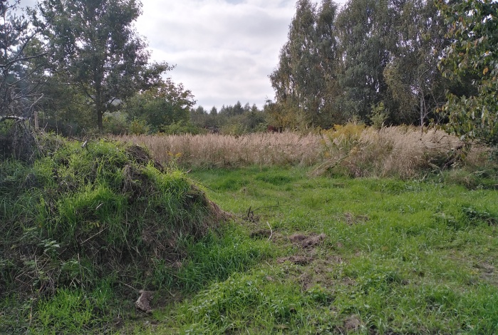 Działka na sprzedaż w Zgierz Proboszczewice Kalinowa i Andrzeja Boboli o powierzchni 1188 mkw