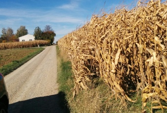 Działka Sprzedam lubelskie Konopnica Zemborzyce Podleśne-2