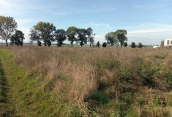 Działka na sprzedaż Żarów  822929