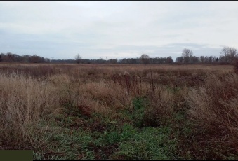 Działka na sprzedaż Pruszcz Gdański  822986