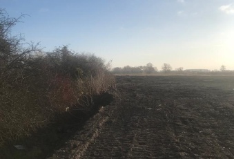 Działka Sprzedam wielkopolskie Piła Gładyszewo-1