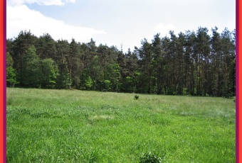 Działka Sprzedam śląskie Tworóg Nowa Wieś Tworoska-2