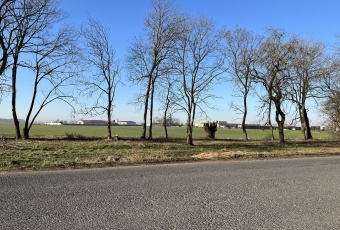 Działka na sprzedaż Łubowo  823110