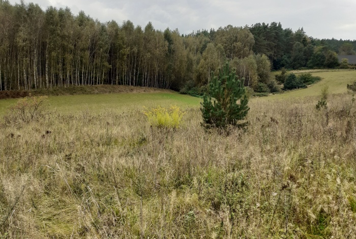 Działka na sprzedaż w Nowe Miasto Lubawskie Nowe Miasto Lubawskie Skarlin 139 o powierzchni 8700 mkw