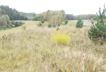 Działka Sprzedam warmińsko-mazurskie Nowe Miasto Lubawskie Nowe Miasto Lubawskie-1