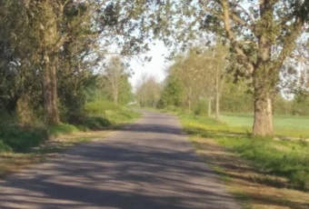 Działka na sprzedaż Wierzbno  823242