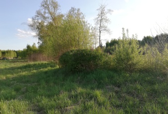 Działka na sprzedaż Puszcza Mariańska  823253