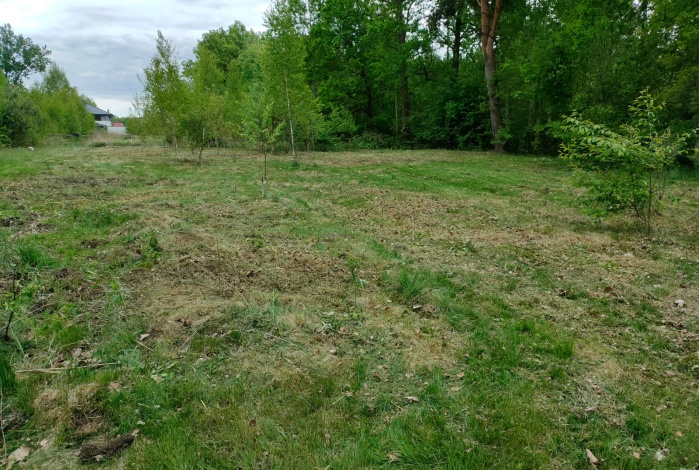 Działka na sprzedaż w Warszawa Rembertów Pastuszków o powierzchni 1187 mkw