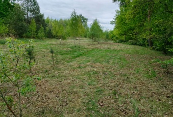 Działka Sprzedam mazowieckie Warszawa Rembertów-3