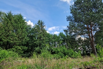 Działka na sprzedaż, Izabelin mazowieckie - oferta 823289 Działka na sprzedaż Izabelin  823289