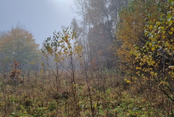 Działka na sprzedaż Szczytna  823504