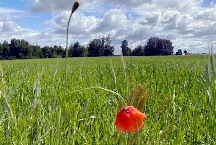 Działka na sprzedaż w Ostróda   o powierzchni 3000 mkw