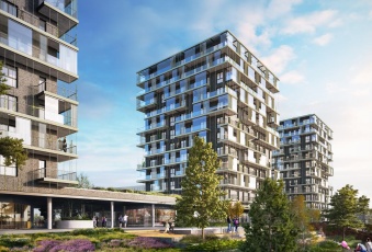 Mieszkanie na wynajem Katowice  823730