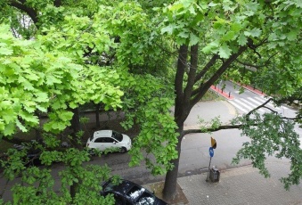 Mieszkanie na sprzedaż Warszawa  823738