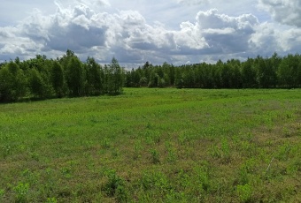 Działka na sprzedaż Płońsk  823809