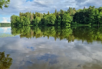 Działka Sprzedam warmińsko-mazurskie Grunwald Tymawa-1