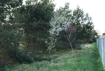 Działka Sprzedam lubelskie Biała Podlaska -1